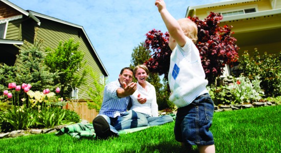 lawn care lawn care