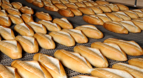 Food Processing