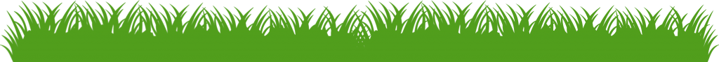 green grass