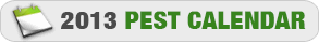 2013 Pest Calendar