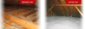 TAP Attic Insulation Before and After