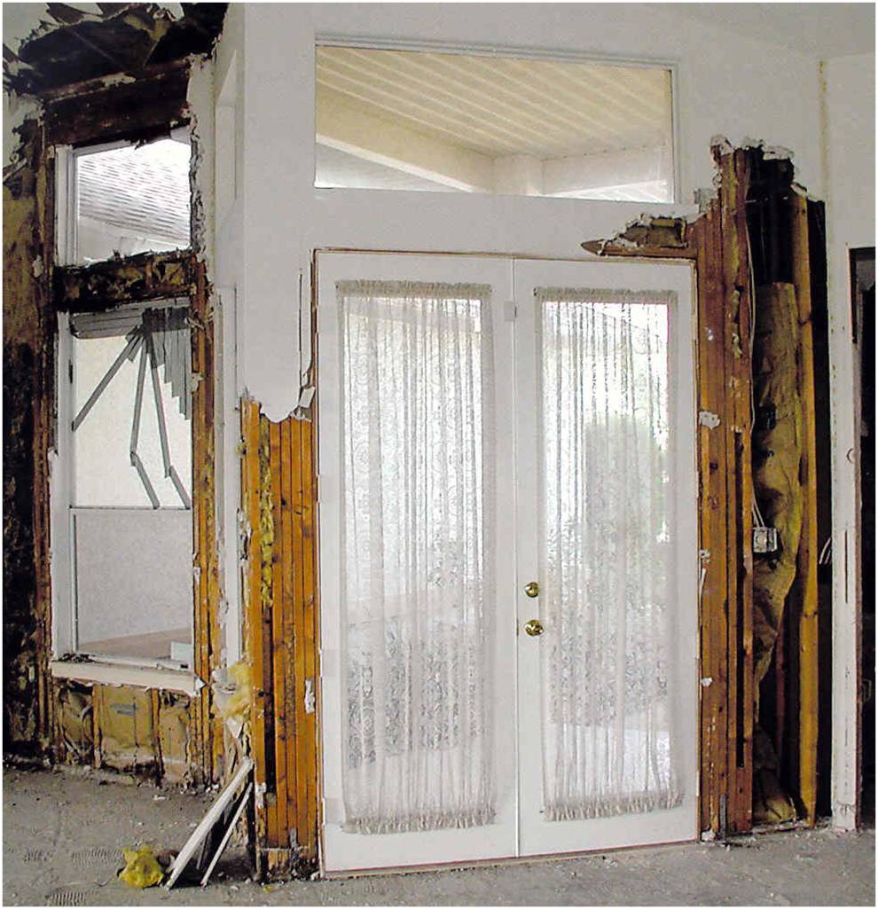 Damaged door termites
