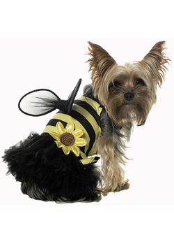 bumble bee dog