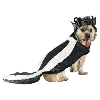 skunk dog