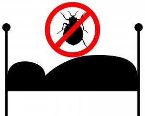bed bug control