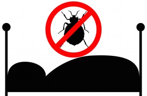 bed bug control