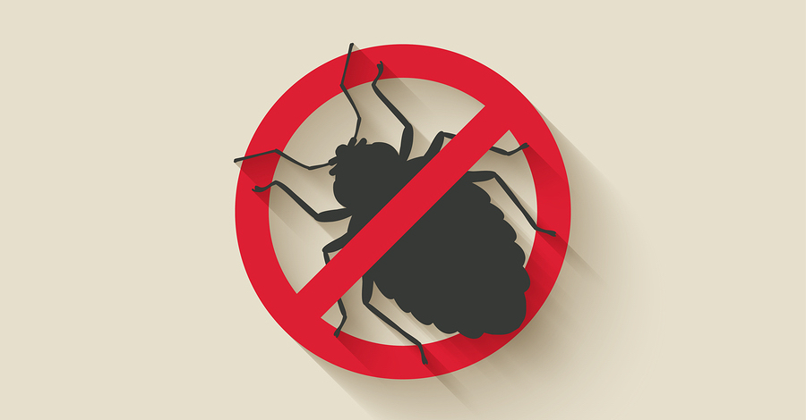 bed bug treatment atlanta