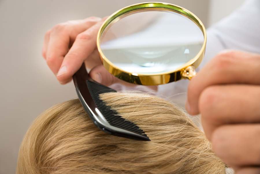 Mutant Lice? Here’s What You Need to Know