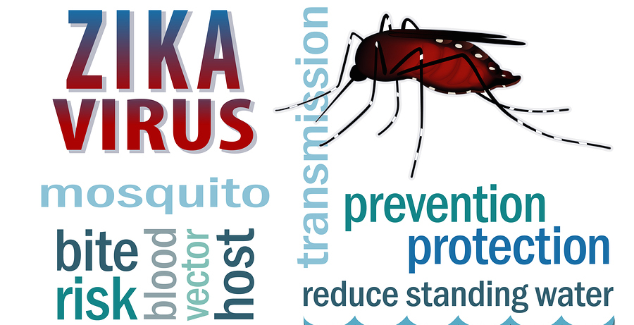 animated zika virus mosquito