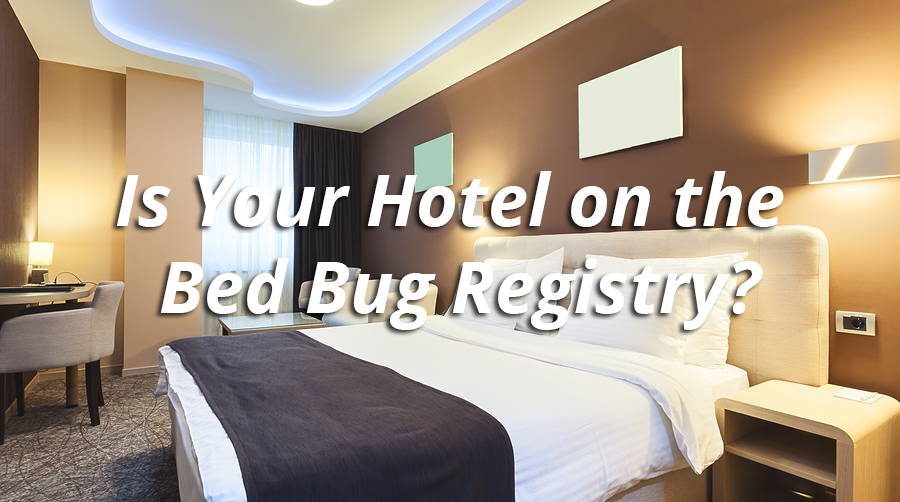 Hotel room with the text: Is your hotel on the bed bug registry