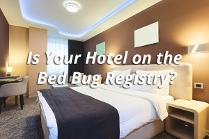 bed bug registry