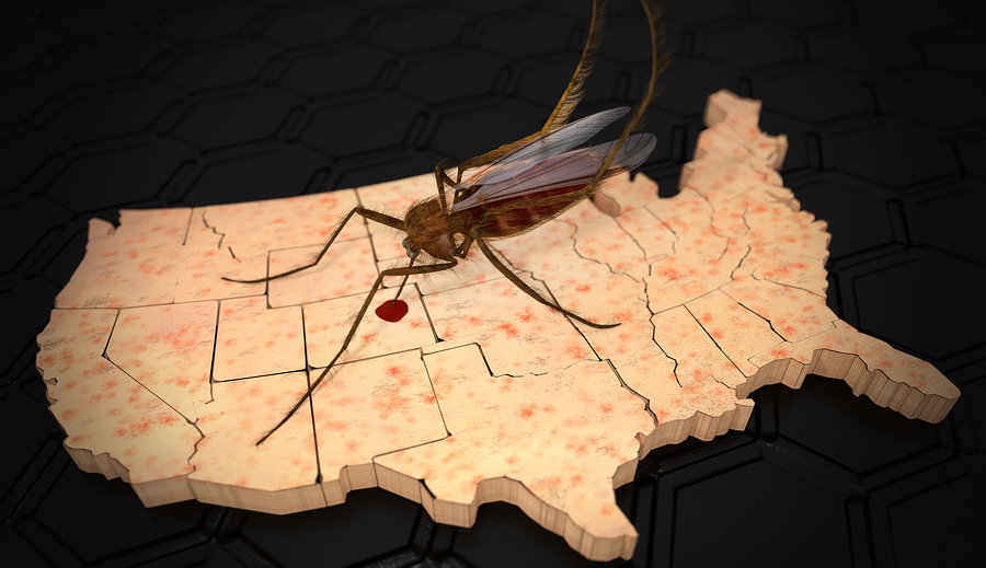 Mosquito infecting a puzzle of the United States with the zika virus