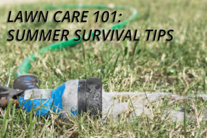 Lawn Care survival tips for Georgia