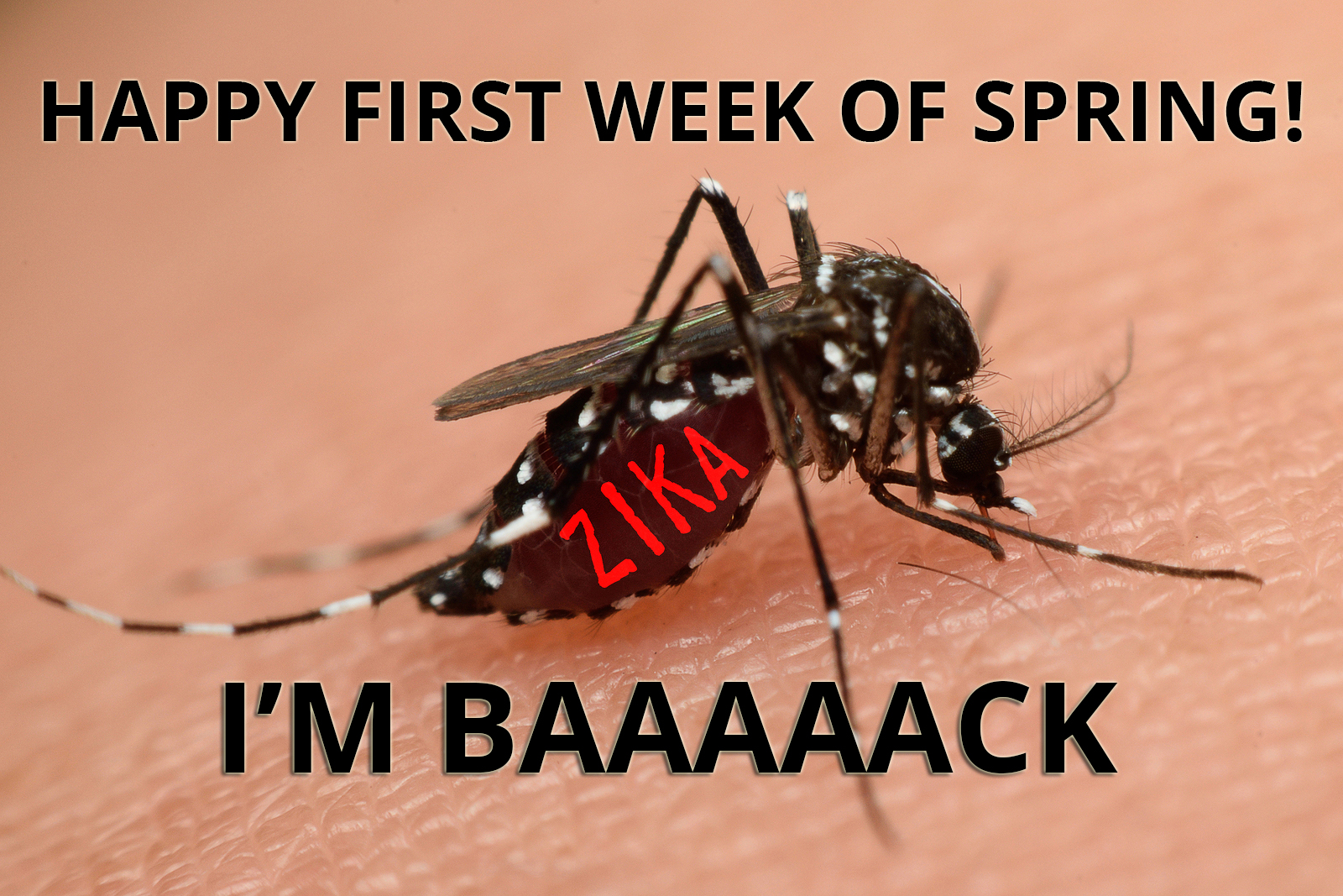 Spring is Here & So Are Mosquitoes! Here's How You Can Prevent Mosquito Bites & Diseases Like Zika