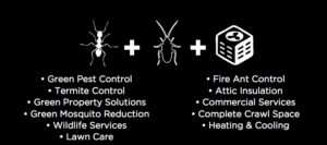 bundle pest services