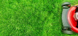 Plush, green lawn with a lawnmower