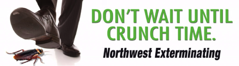 northwest crunch billboard displaying a man's dress shoes going to step on a roach