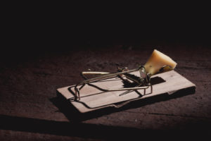 Mouse trap laying on the floor with wedge of cheese in it