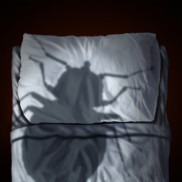 5 Ways to Avoid Bed Bugs For The Holidays