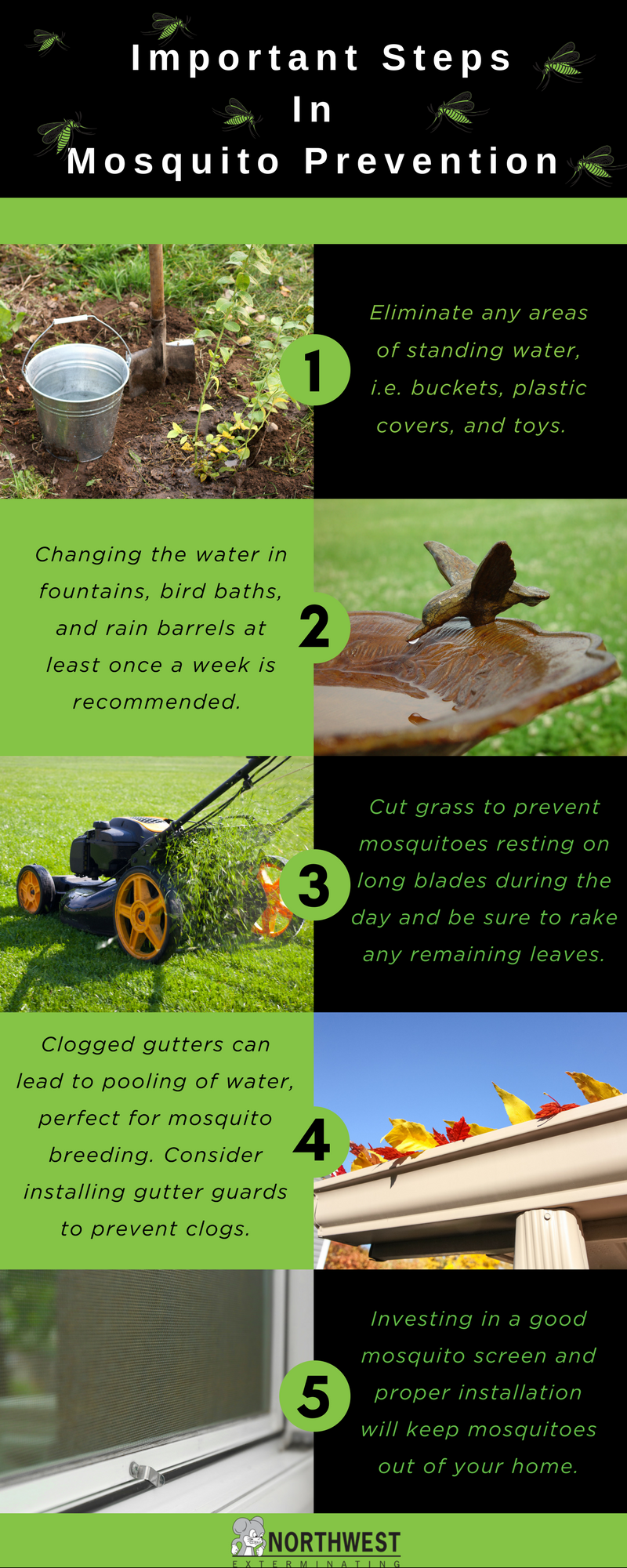 mosquito prevention steps
