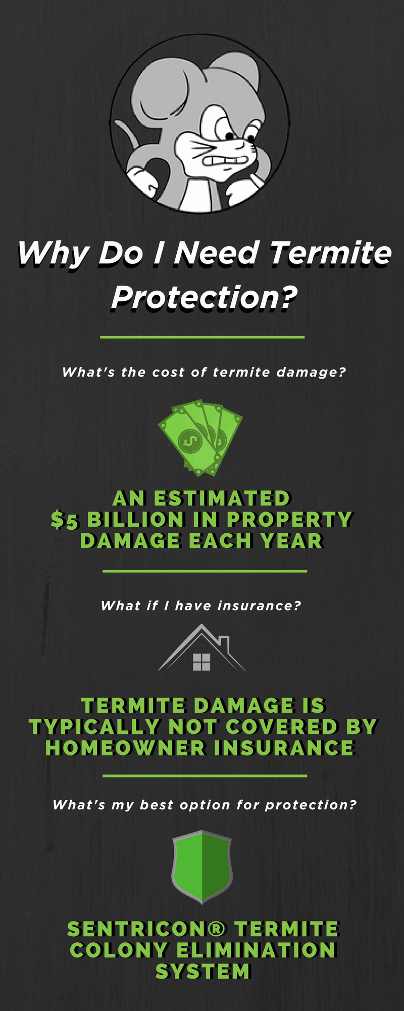 termite protection