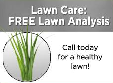 free lawn care analysis