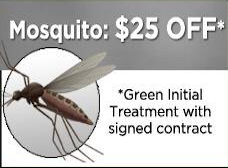 mosquito coupon