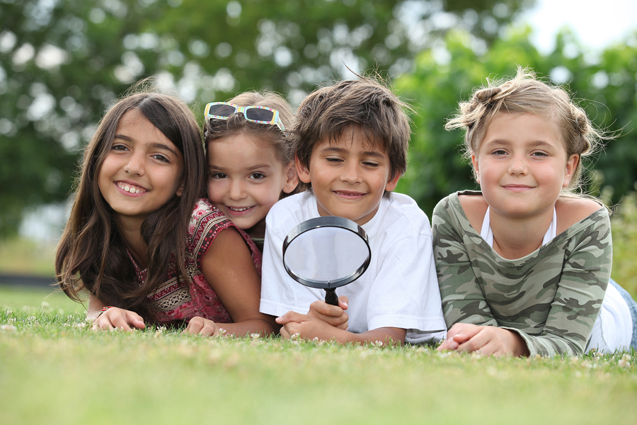 lice bed bug prevention