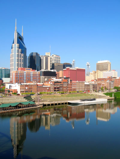 Choices for Pest Control in Nashville, TN