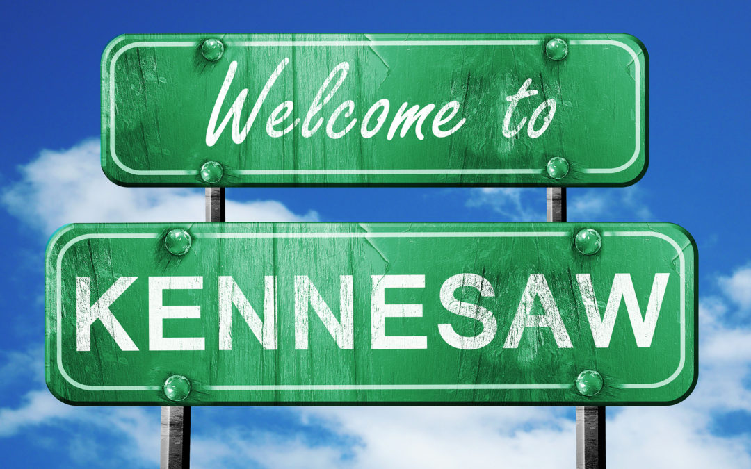 Best Pest Companies in Kennesaw-Acworth