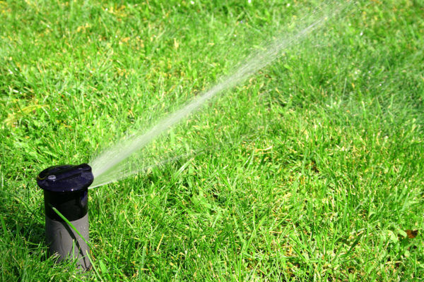 10 Ways To Care For Your Lawn In Extreme Heat