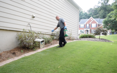 Is Pest Control Worth It?