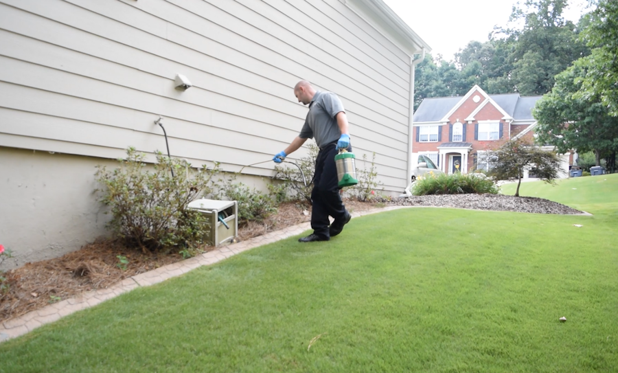 Guardianpest Rodent Control