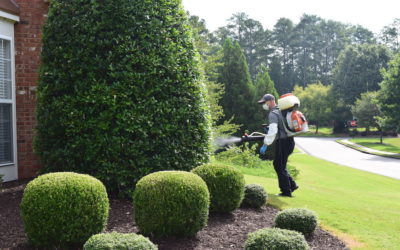 When Should Mosquito Treatments Start?