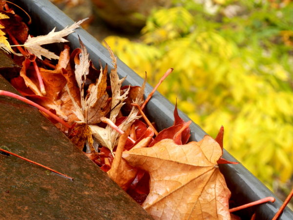 5 Reasons To Install Gutter Guards