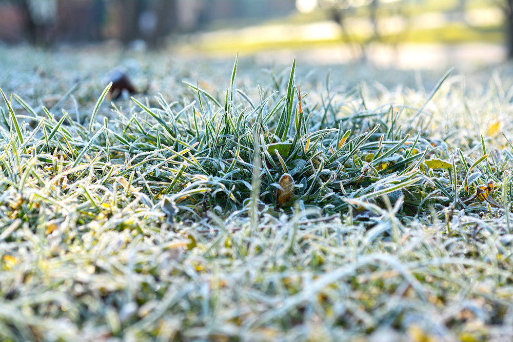 8 Tips For Winter Lawn Care