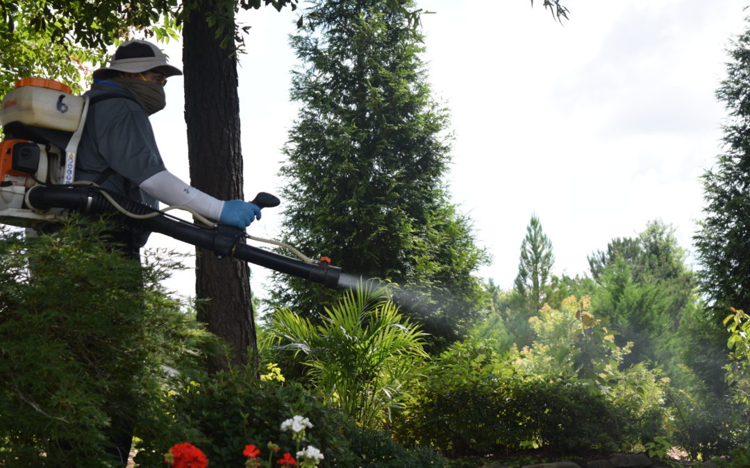 Is Green Mosquito Control Safe?