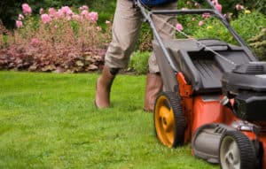 spring lawn care