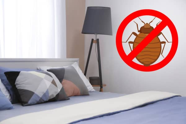 Bug Control - Simple Tips to Keep Your Home Bug-Free