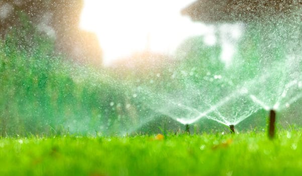 How To Keep Your Grass Green In The Summer