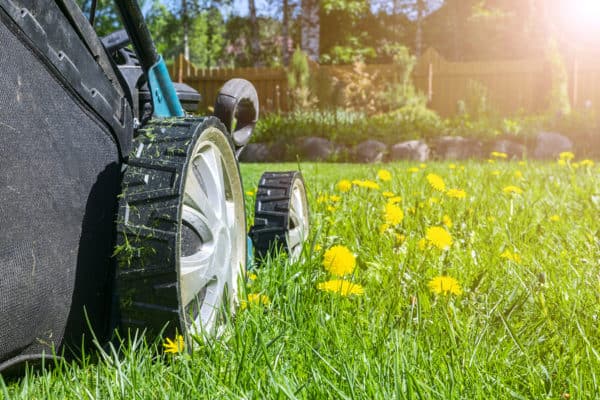 A Step-By-Step Lawn Care Guide | Spring Lawn Care Service