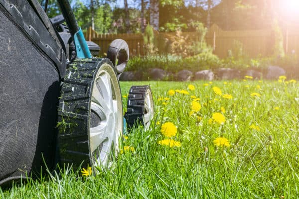 lawn care in salt lake county