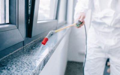 5 Signs You May Need an Exterminator