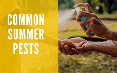 What Pests Are Active In Your Area?