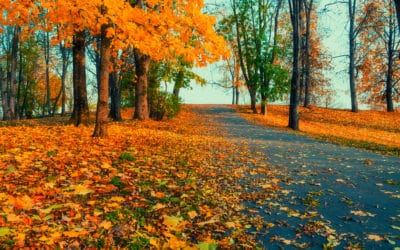 Stop the Overwintering Pest Invasions