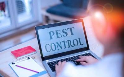 How Can Your Business Benefit From Commercial Pest Control?