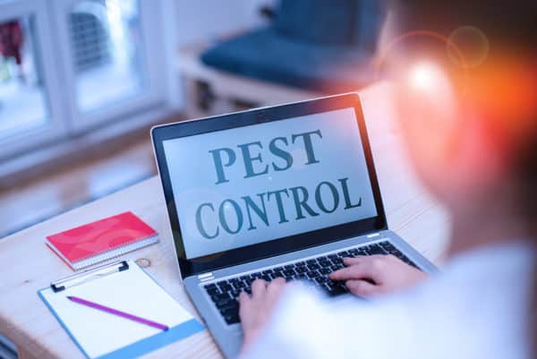 How Can Your Business Benefit From Commercial Pest Control?