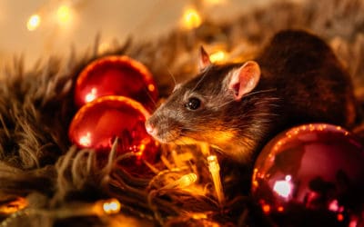Deck the Halls Without Pests
