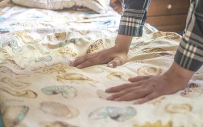 Bed Bug Holiday Surprise