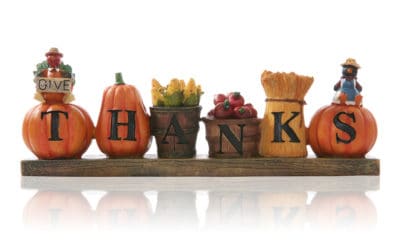 5 Reasons To Be Thankful for Pest Control